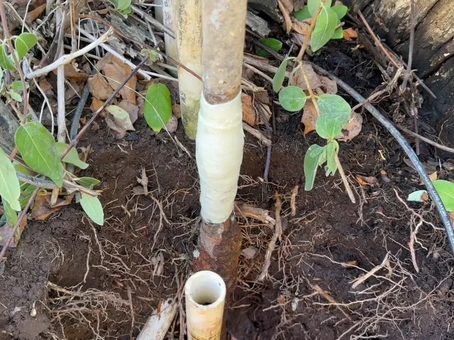 Water service pipe sleeve and fitting exposed at ground level