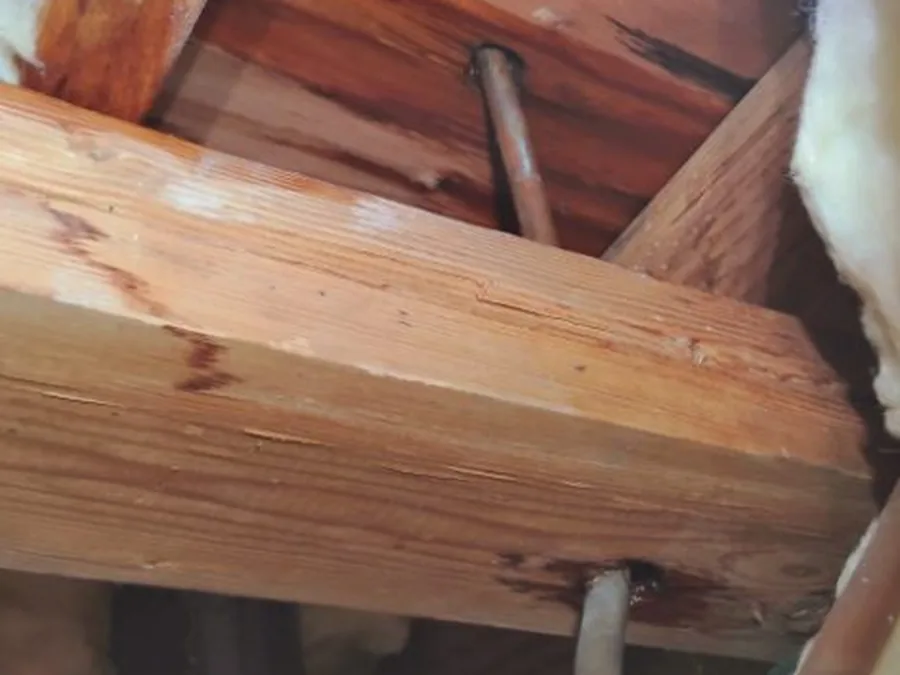 Pipe routed near wood framing during a slab leak reroute